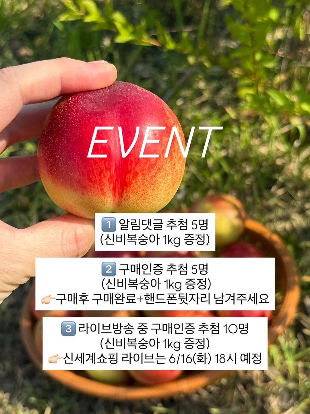 새로고침 데코타일 2