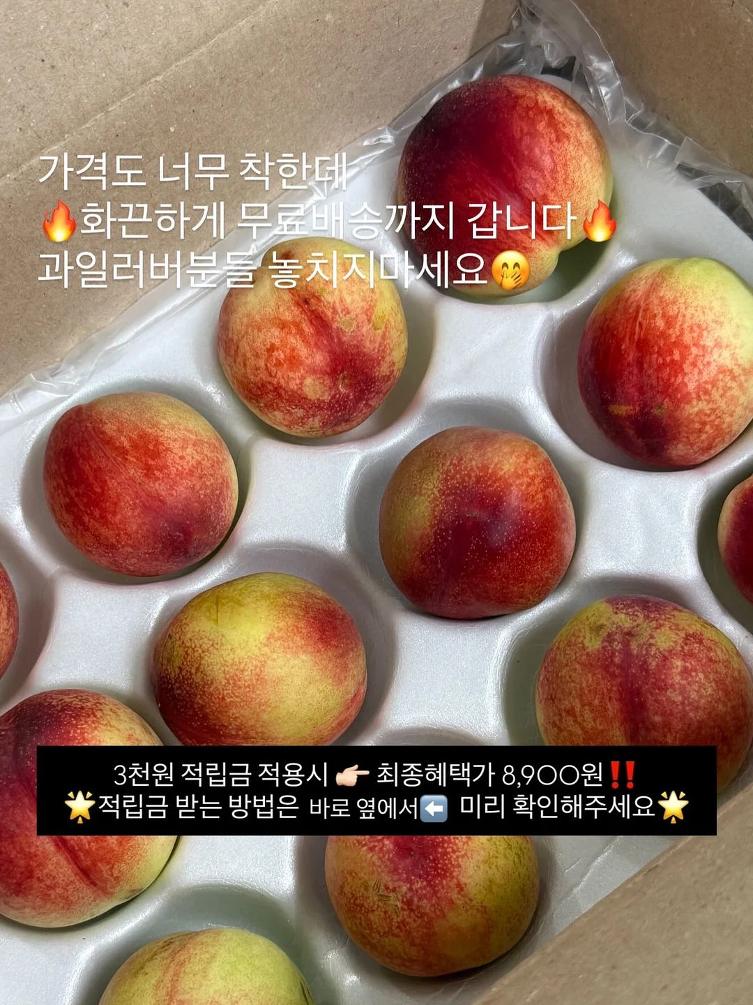 새로고침 데코타일 5