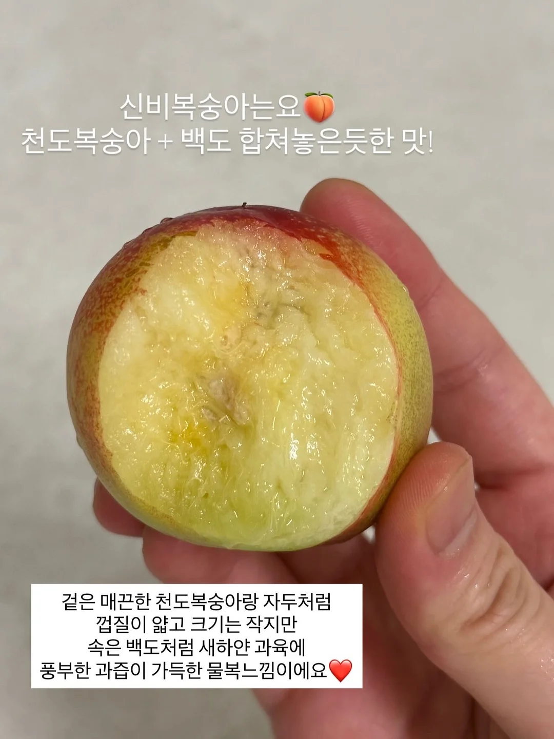 새로고침 데코타일 7