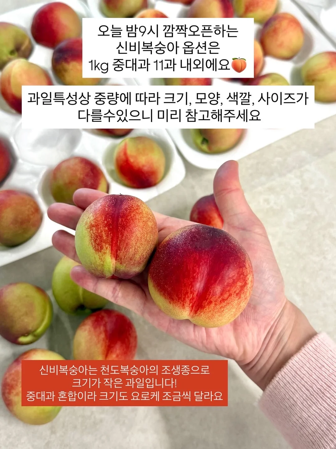 새로고침 데코타일 10