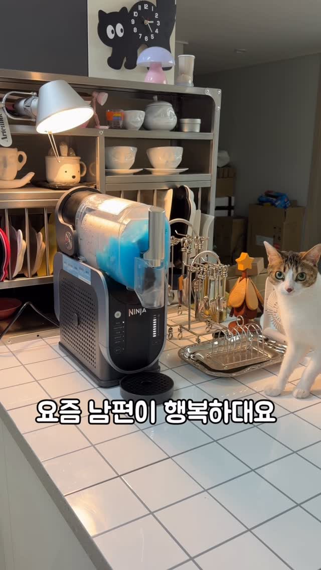 개업선물 화과자