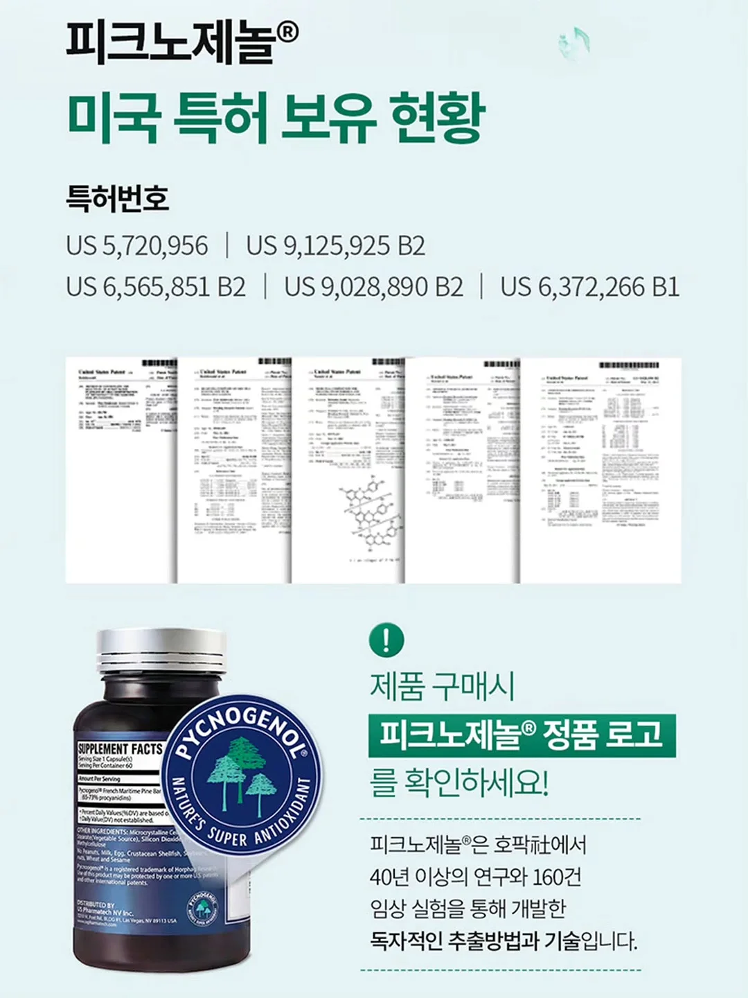 핑크 셔츠 4