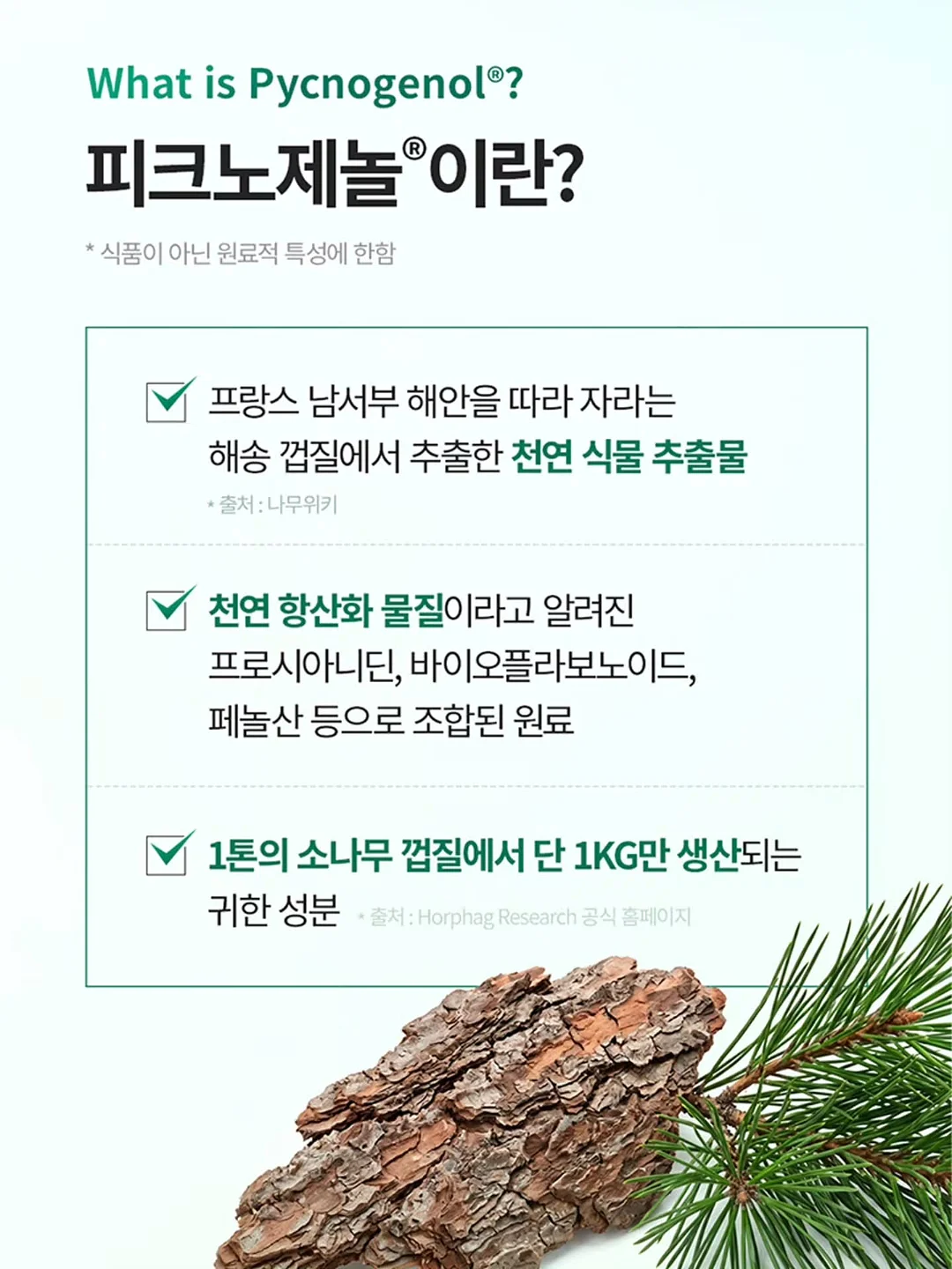 핑크 셔츠 6