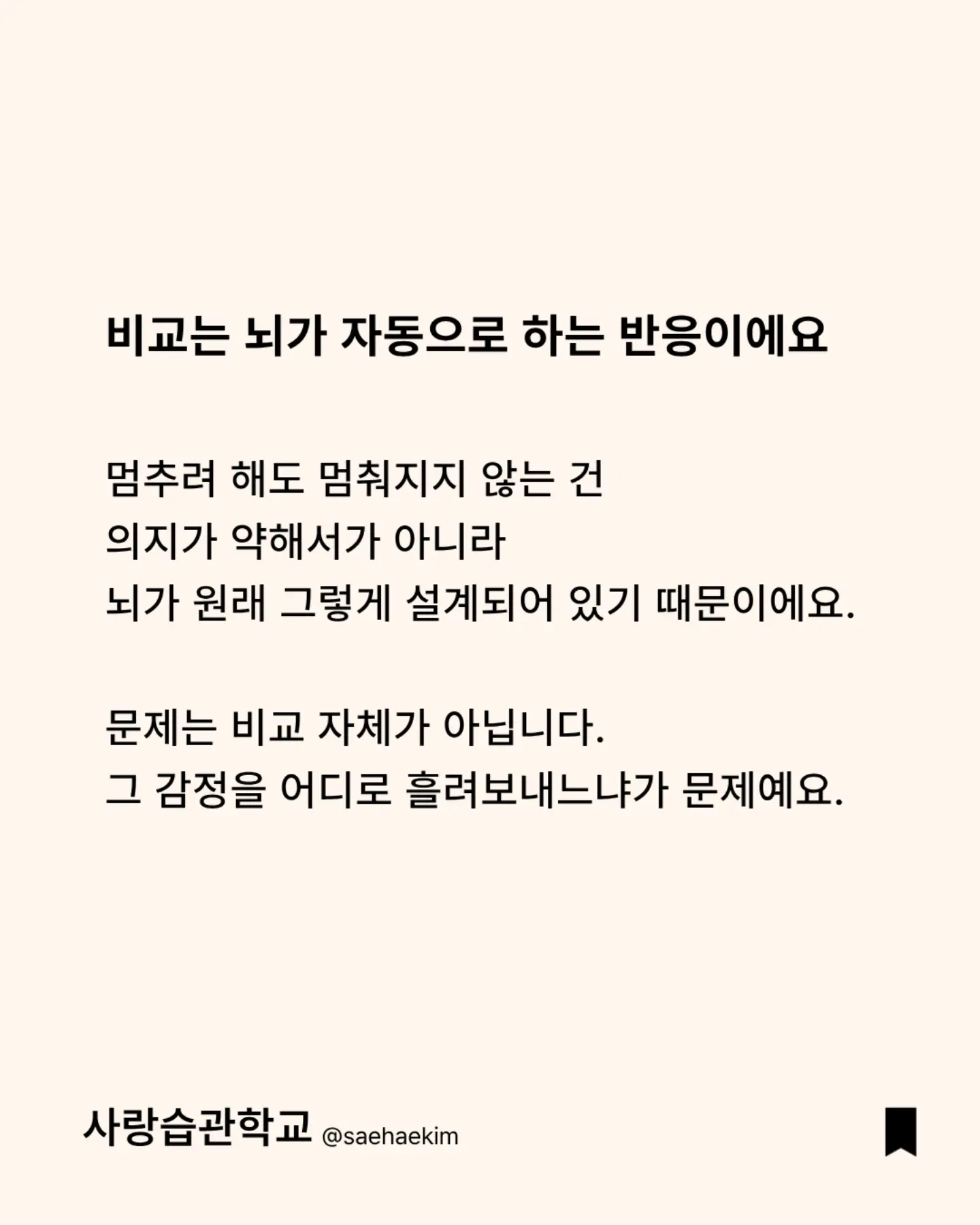 데이지 팬츠 & 투웨이 베스트 세트 4