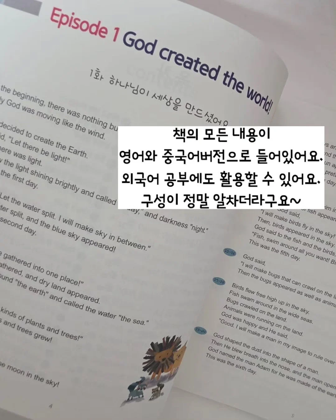 코르딕스 루프 캐리어 13