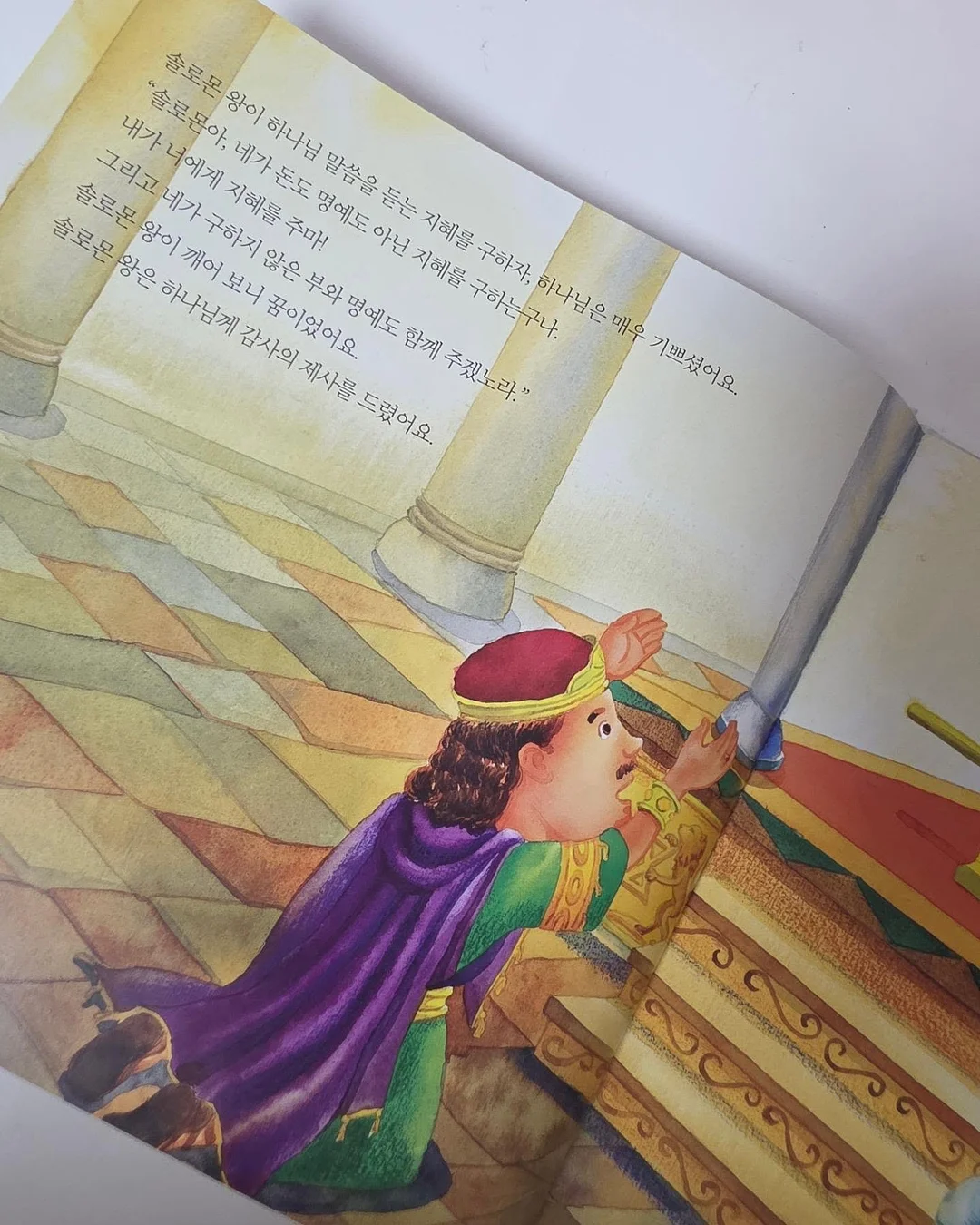 코르딕스 루프 캐리어 14