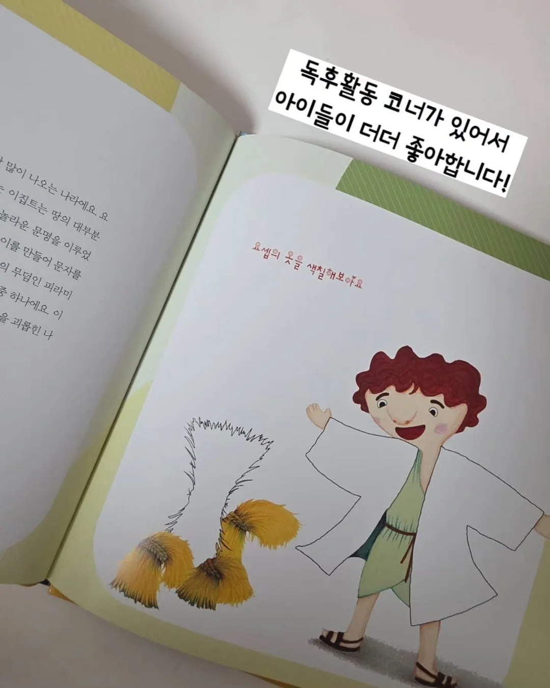 코르딕스 루프 캐리어 17