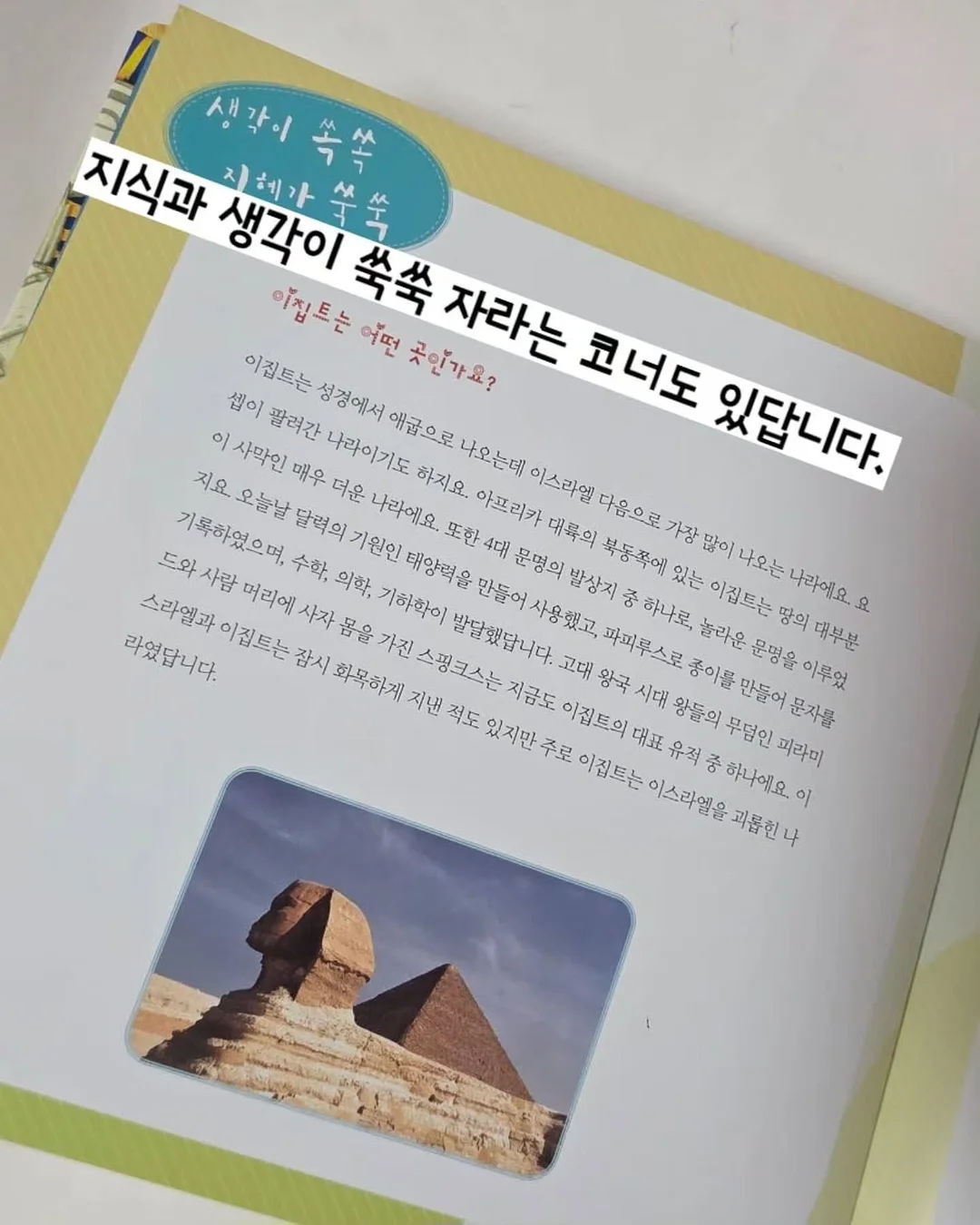 코르딕스 루프 캐리어 18