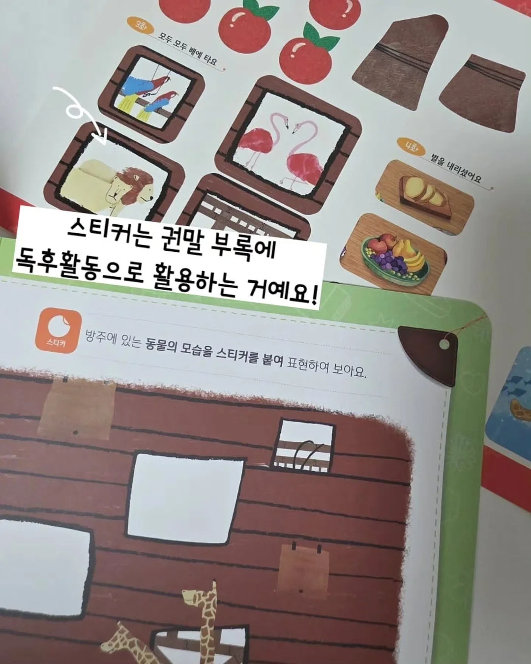 코르딕스 루프 캐리어 8
