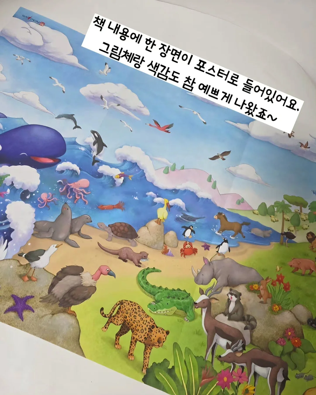 코르딕스 루프 캐리어 9