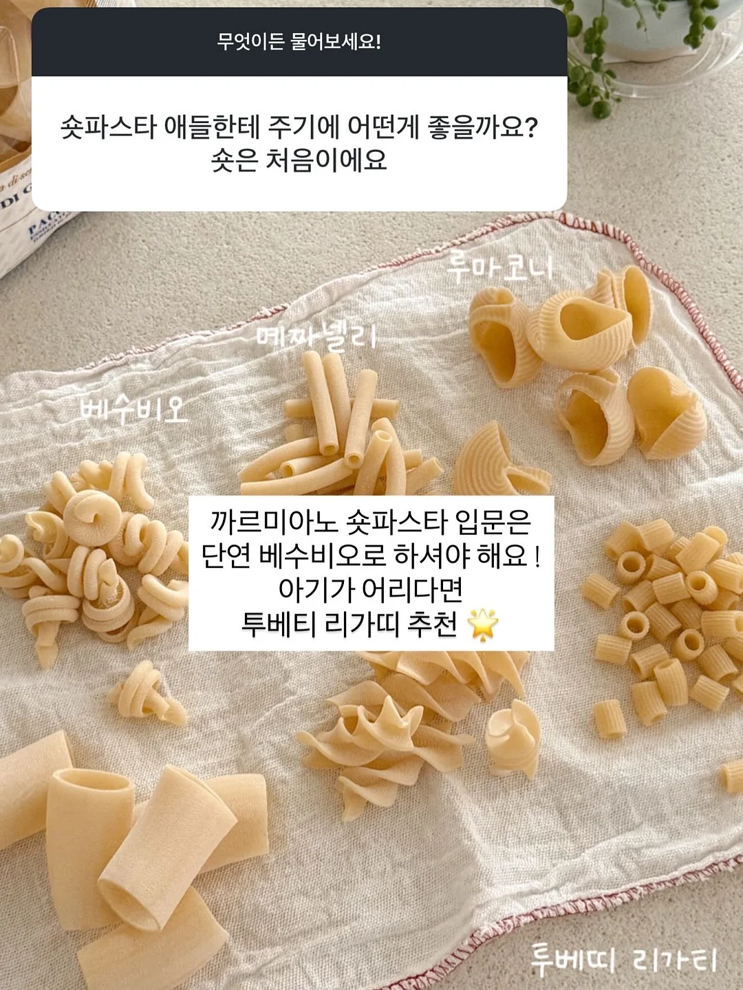 에피텀블러 6
