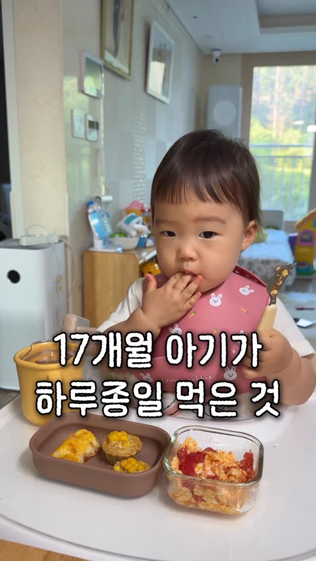양평군 옥천면 신복리 마이포레 중미산 로프트 B동 임대 및 에어비엔비