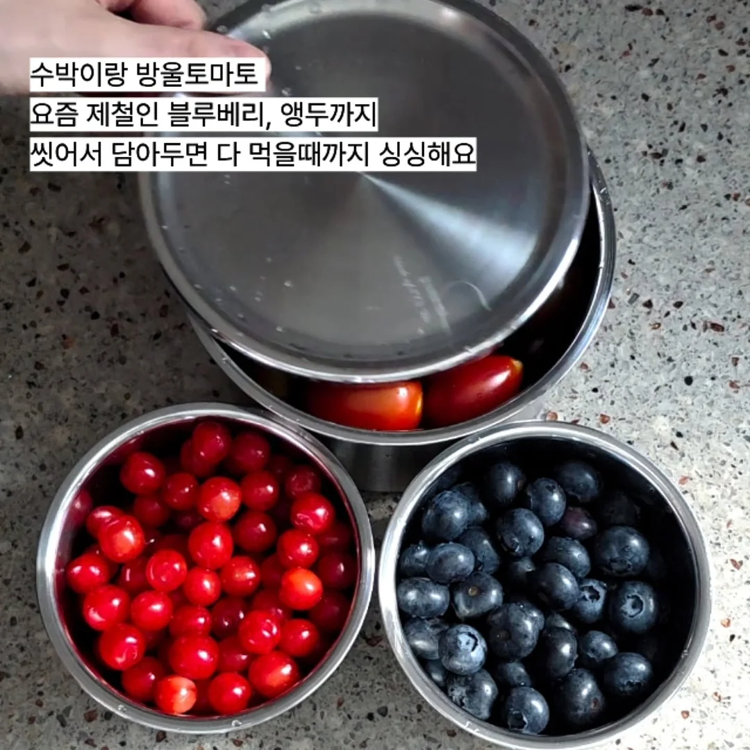 장미 카네이션 캔디 4