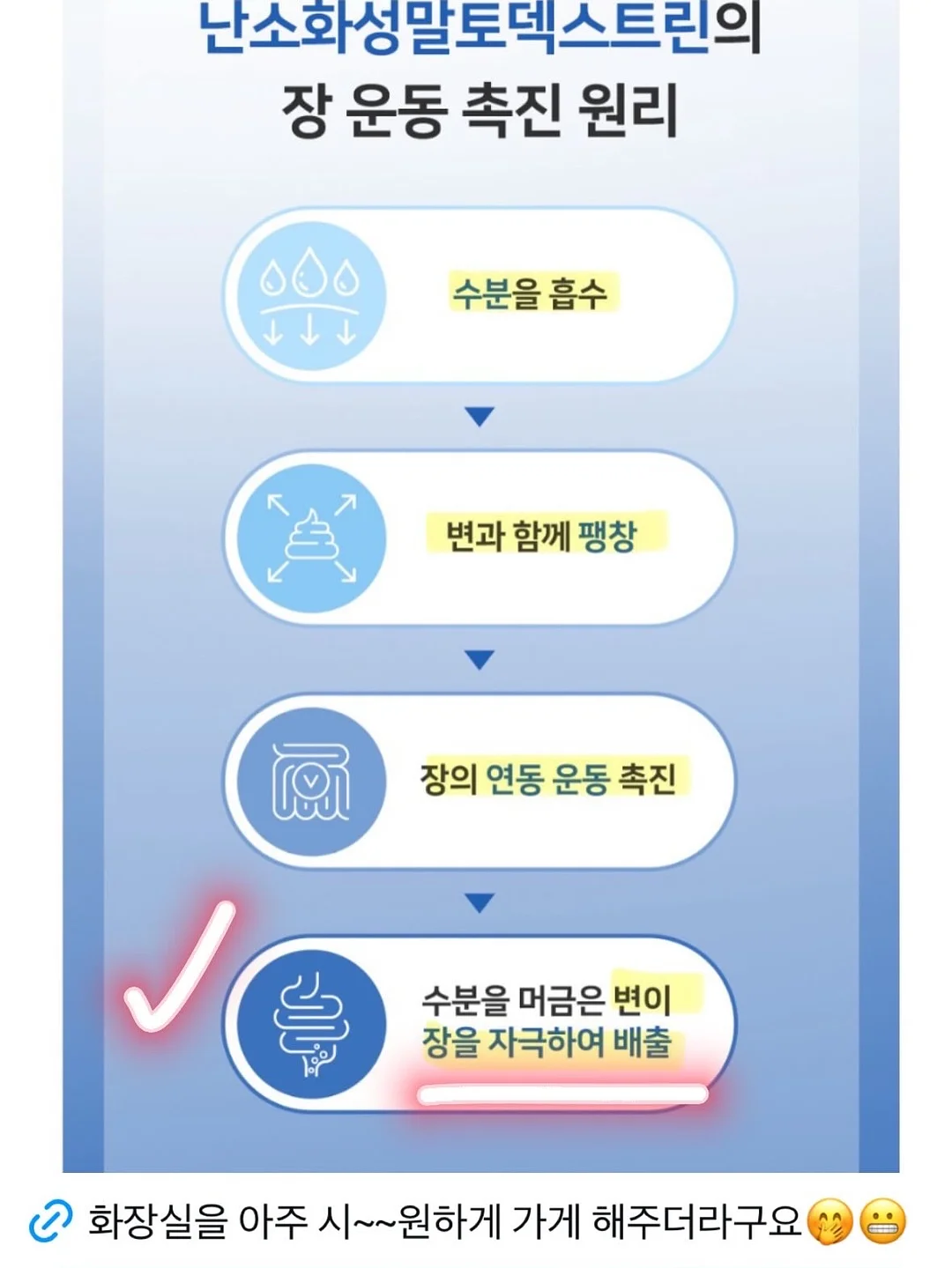 에바 폼 포인세티아 클래스 5