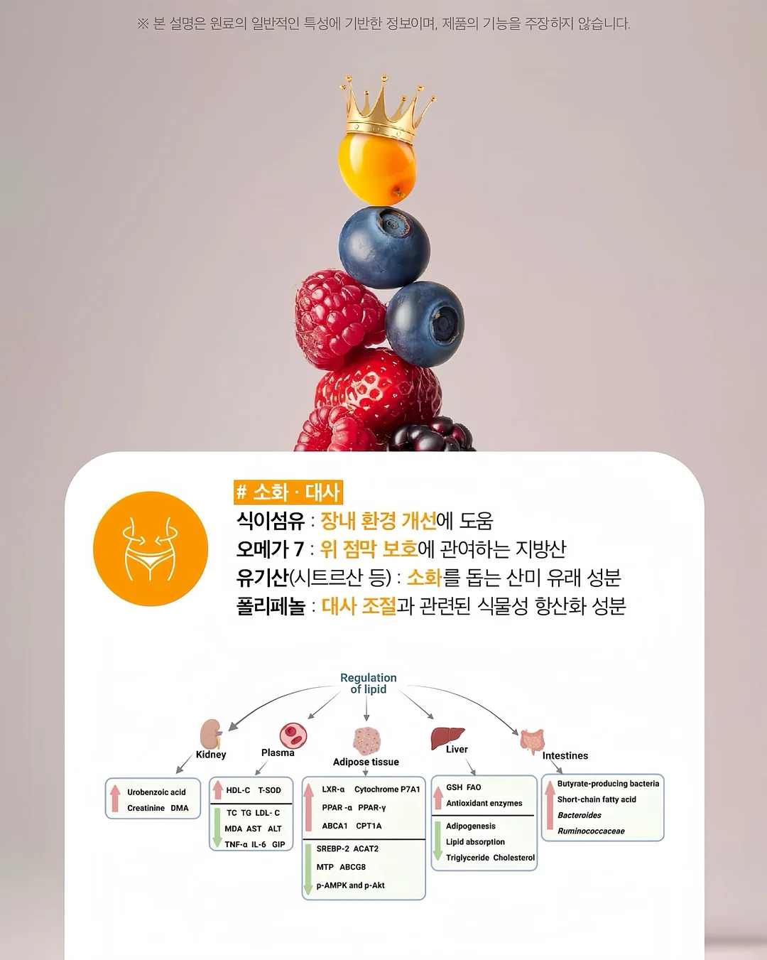 니트 8