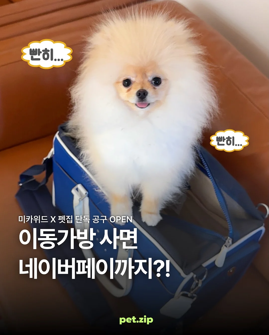 LCVE 여름 코디 1