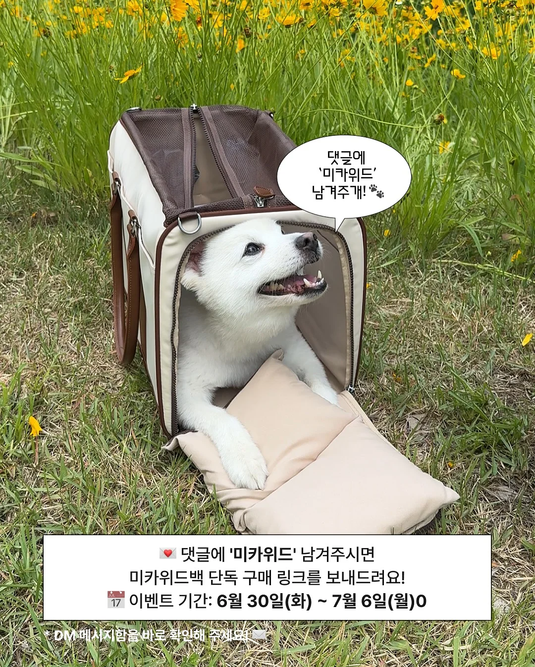 LCVE 여름 코디 11