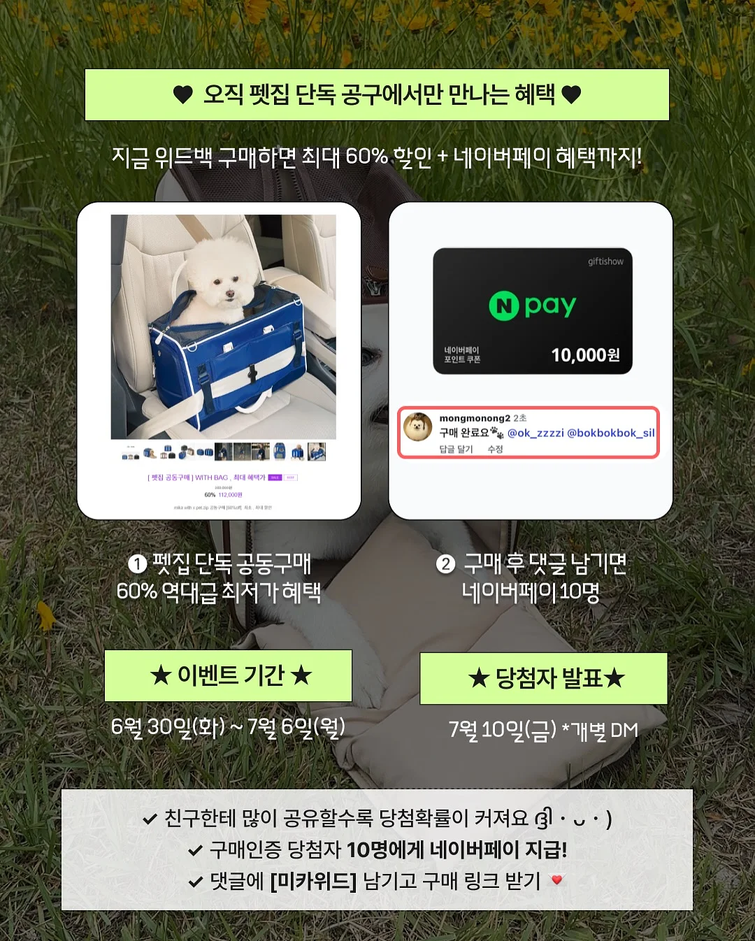LCVE 여름 코디 2