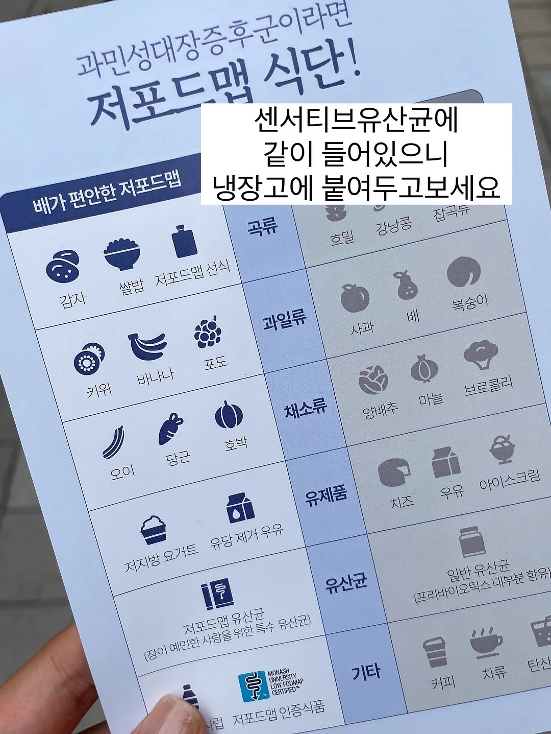READYCALL AIR;PORT 축제 할인권 12