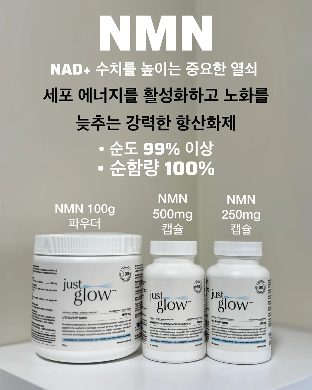 BELLZIP 뜨개 키트 12