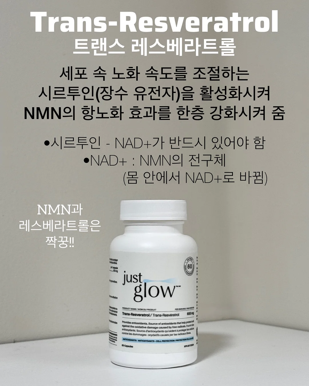 BELLZIP 뜨개 키트 14