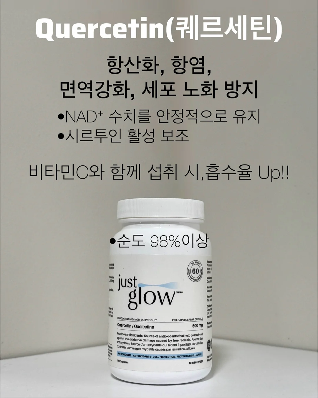 BELLZIP 뜨개 키트 15