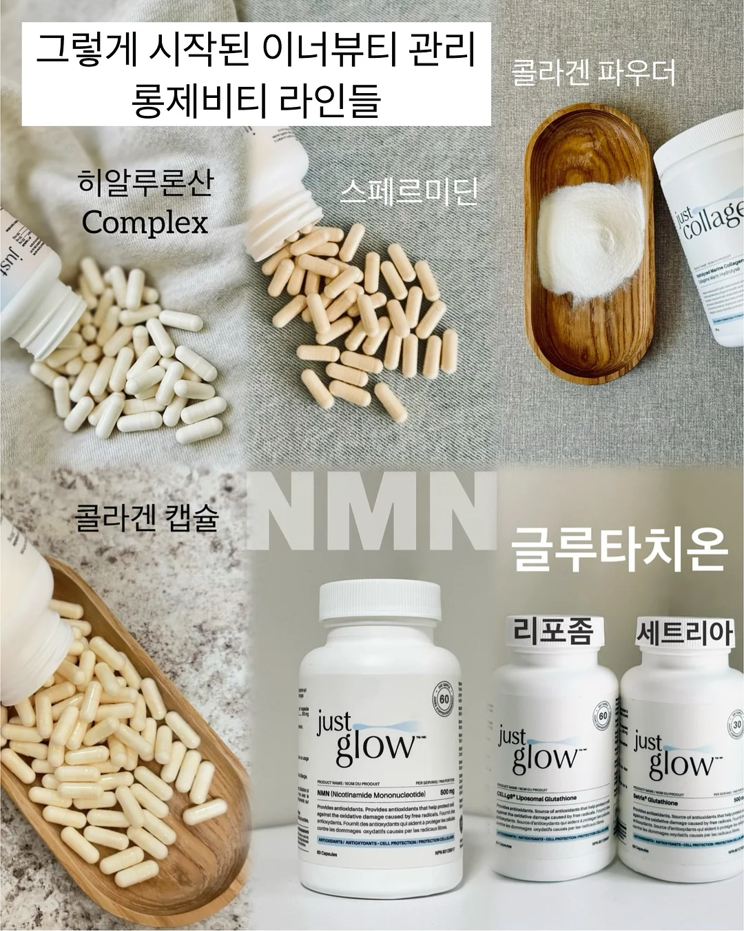 BELLZIP 뜨개 키트 6