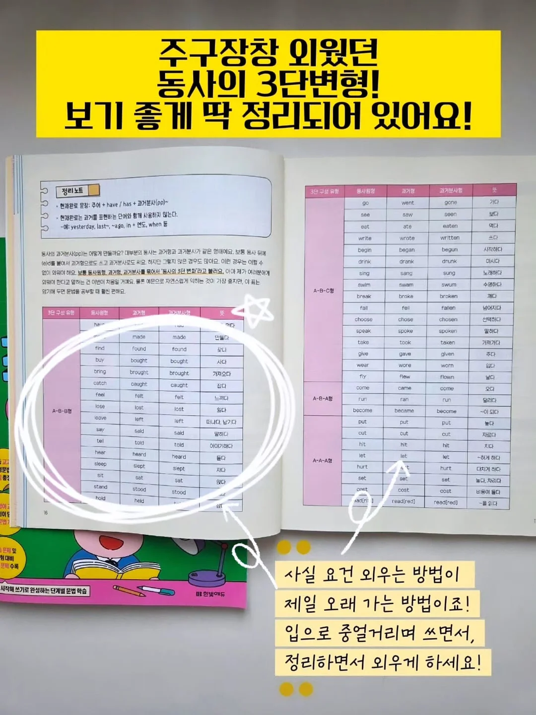 방수 귀패치 12