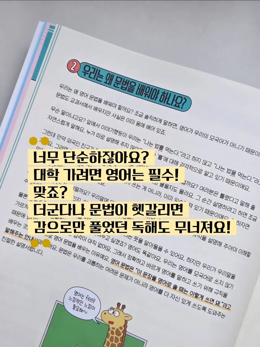 방수 귀패치 5