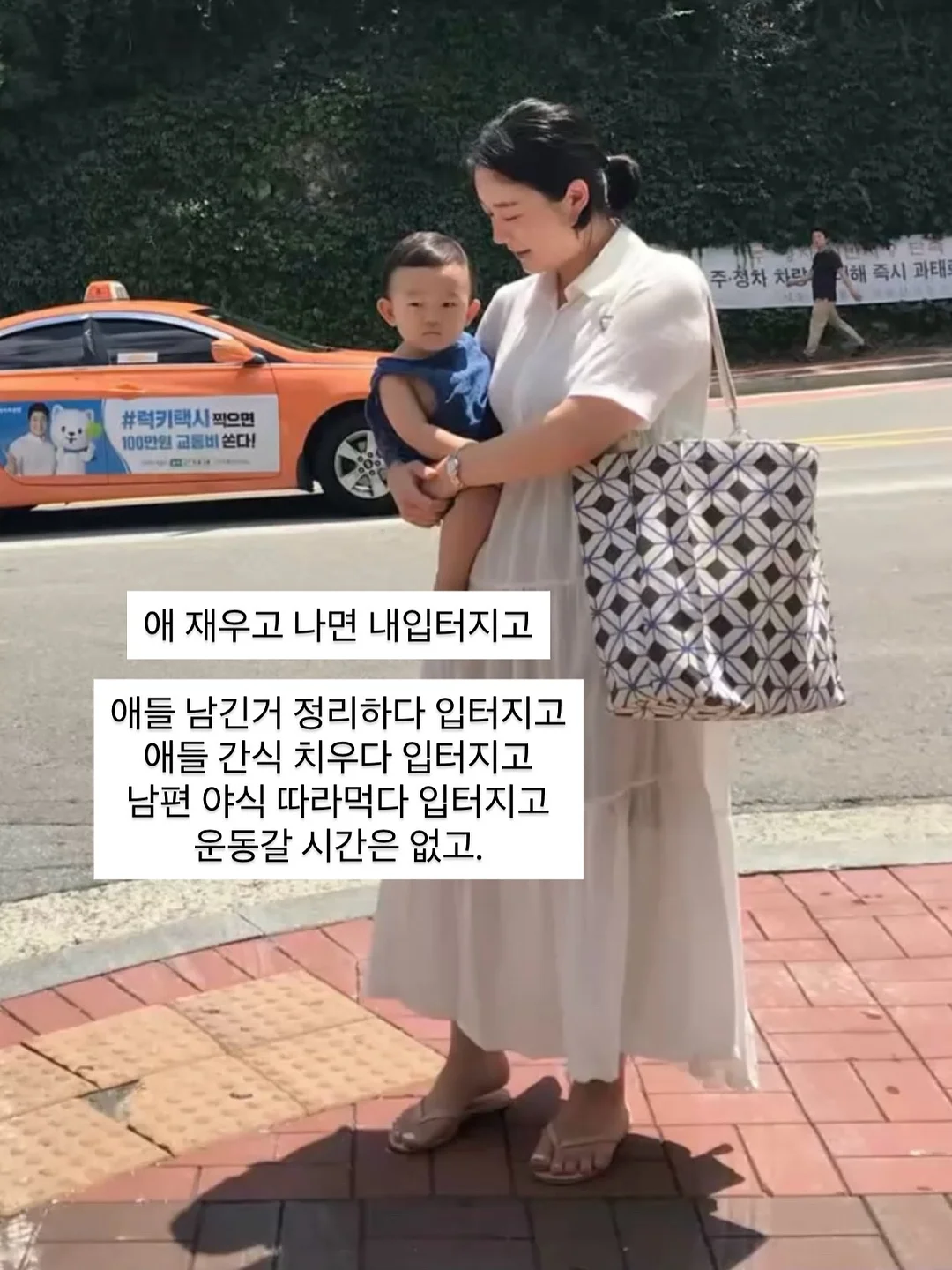 다이소 펫 해먹 1
