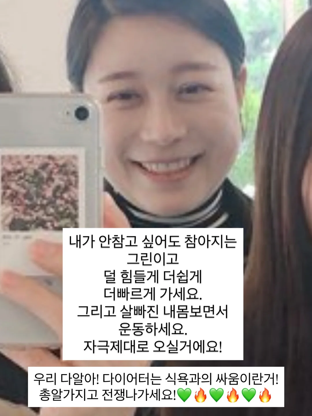다이소 펫 해먹 2
