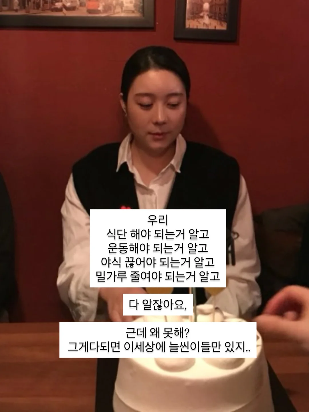 다이소 펫 해먹 3