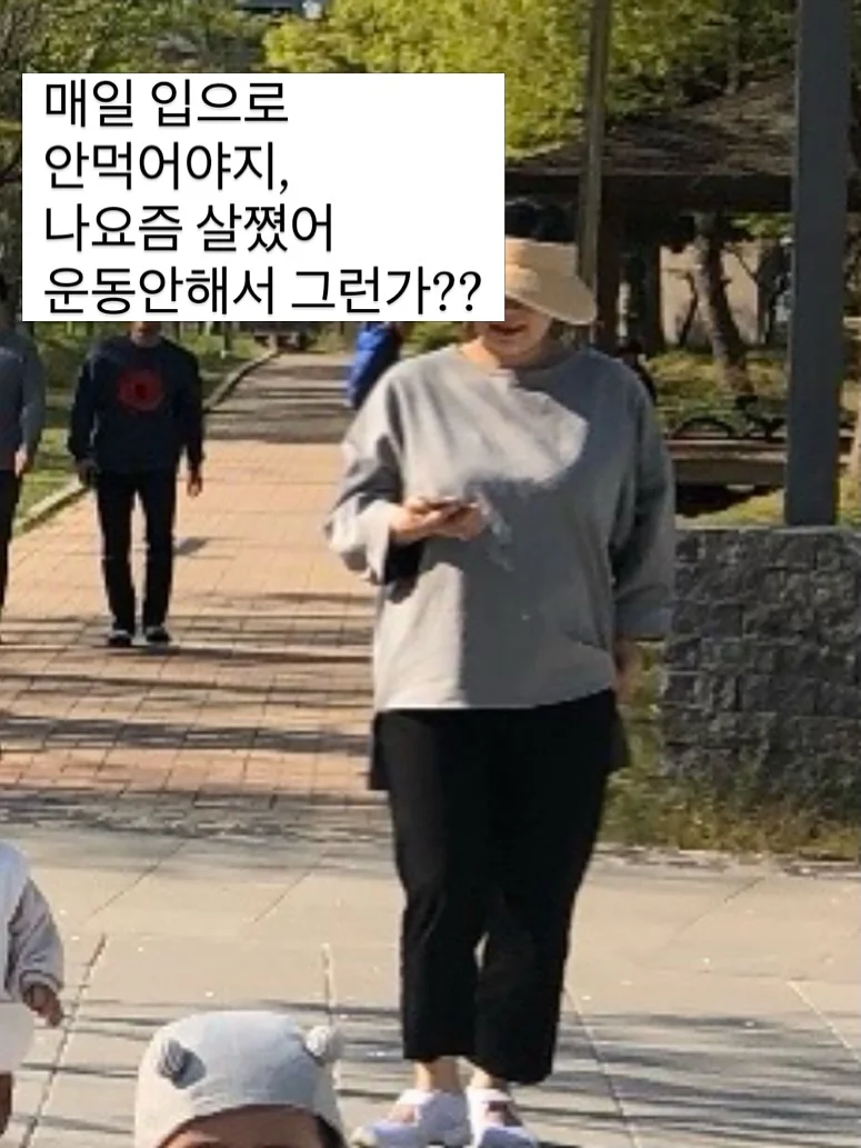 다이소 펫 해먹 6