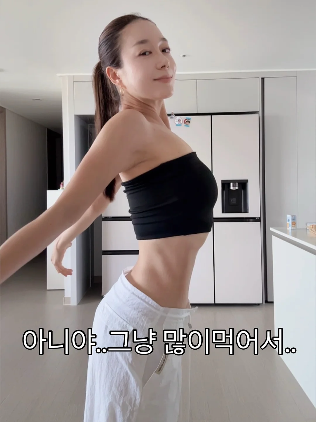 다이소 펫 해먹 7