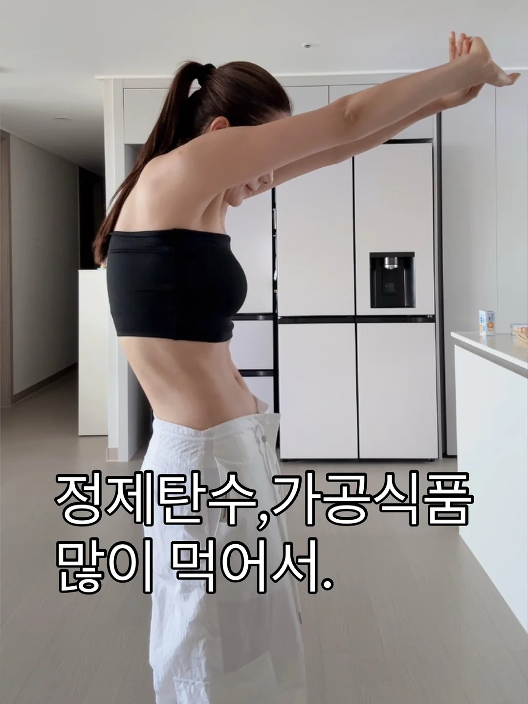 다이소 펫 해먹 8