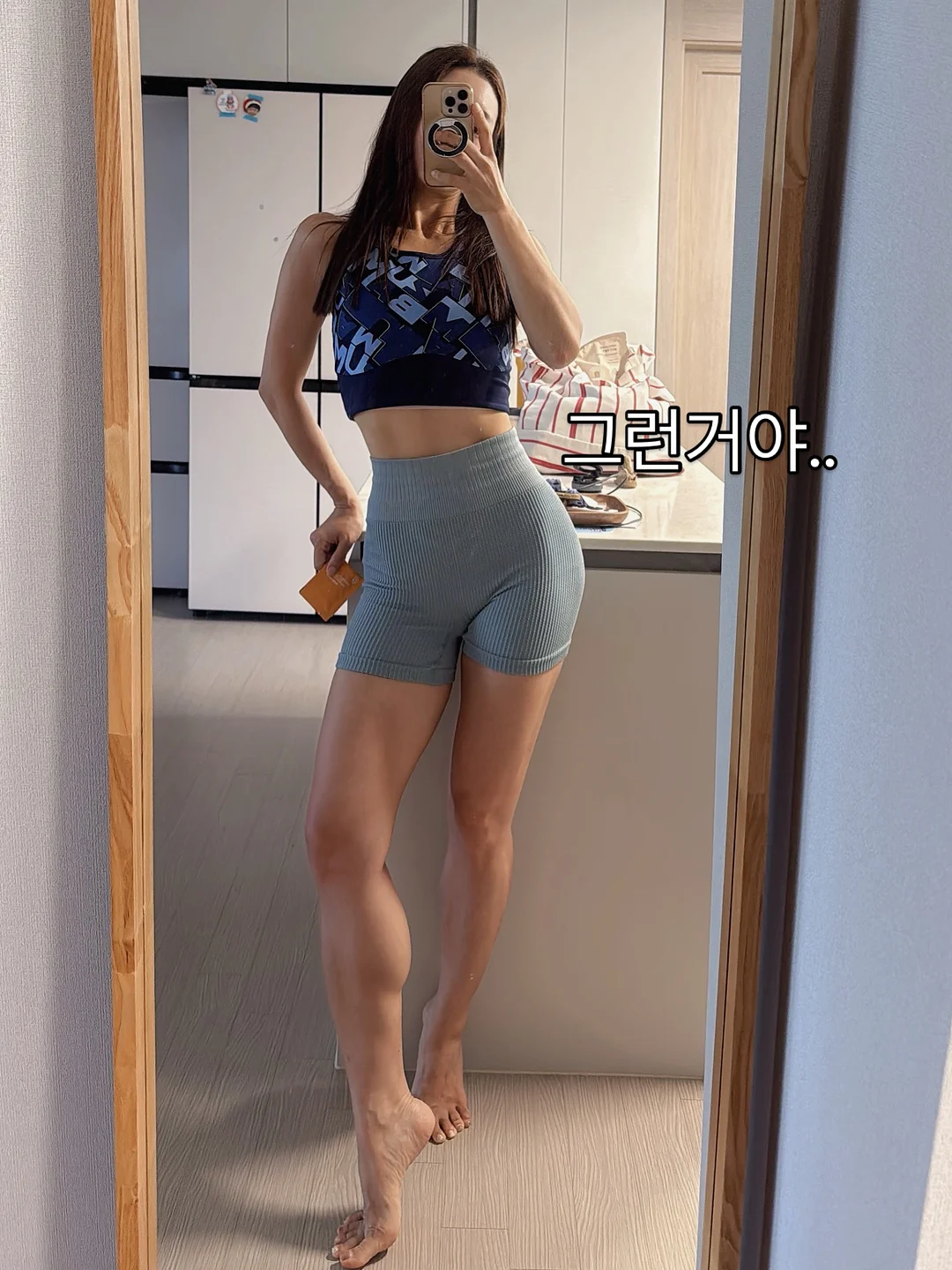 다이소 펫 해먹 9