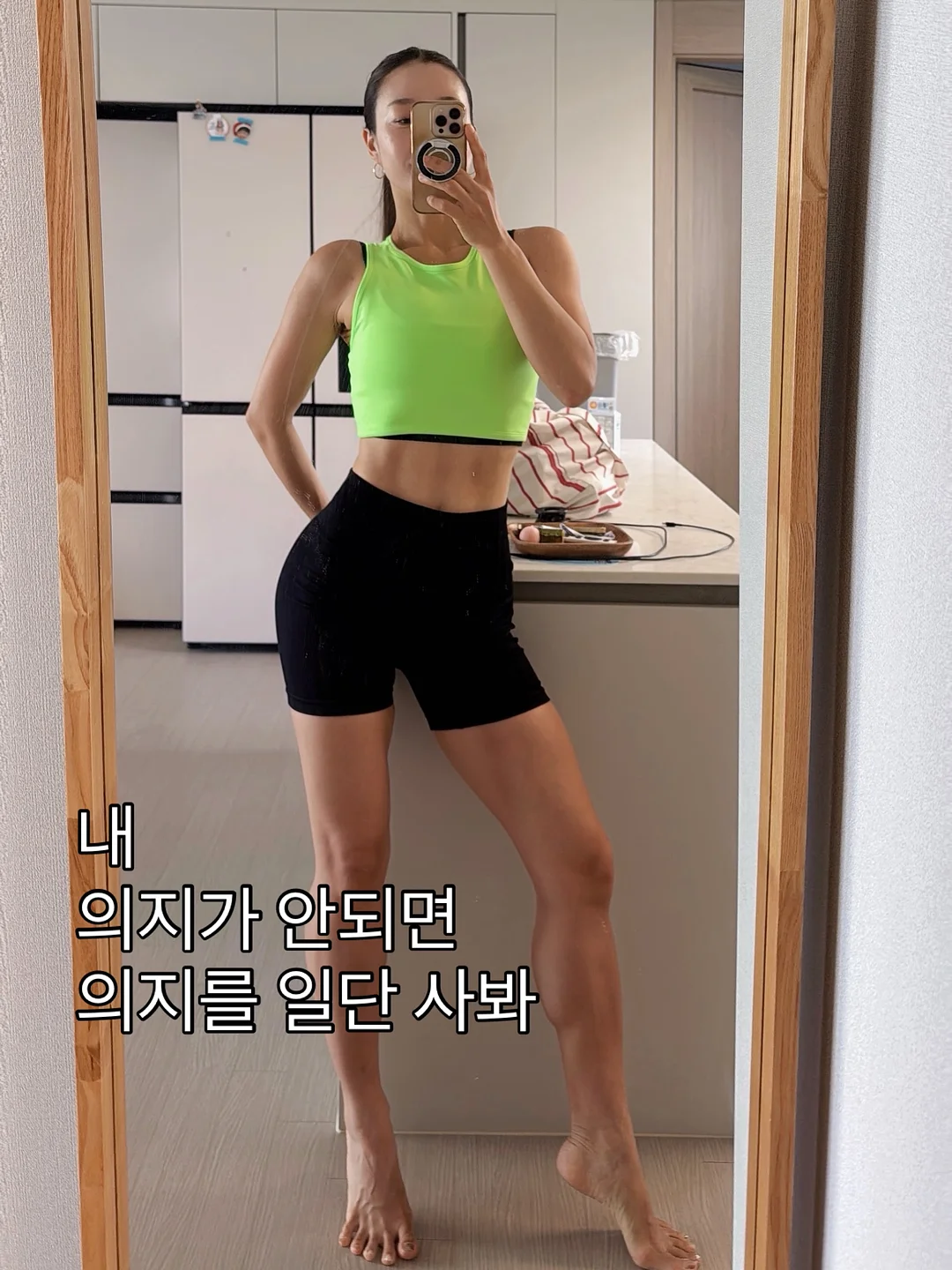 다이소 펫 해먹 10