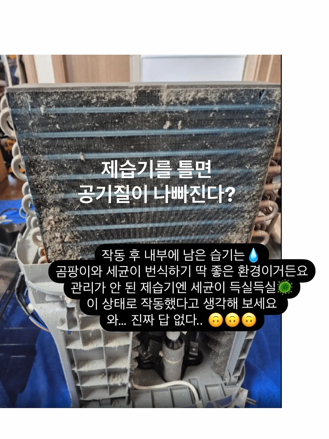 락토프리 우유 7