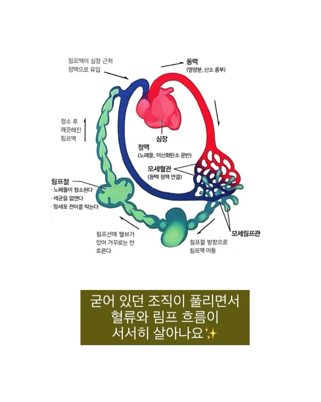 여성 전용 그룹 PT 프로그램 8