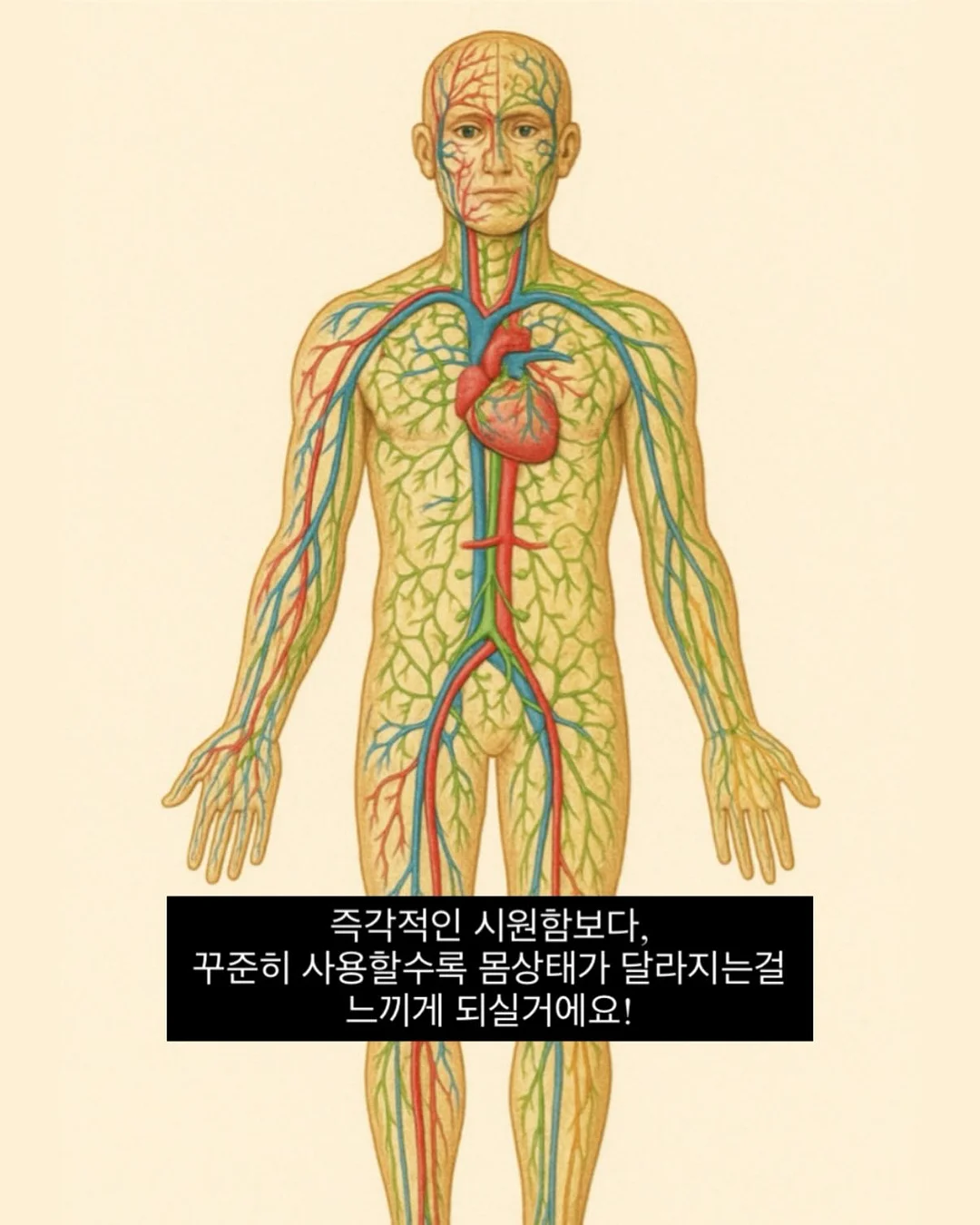 여성 전용 그룹 PT 프로그램 10