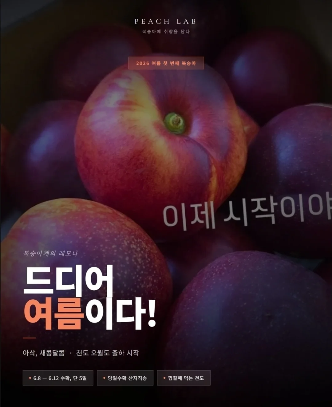 아미 반바지 1