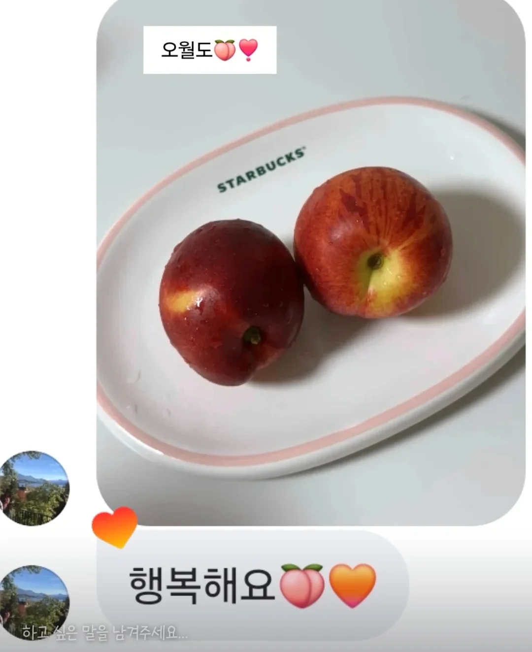 아미 반바지 5