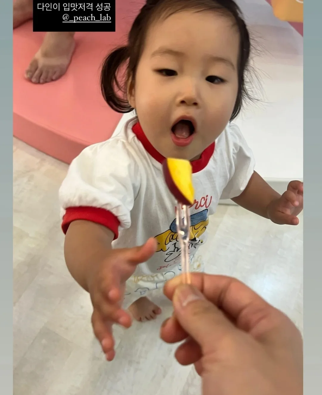 아미 반바지 6