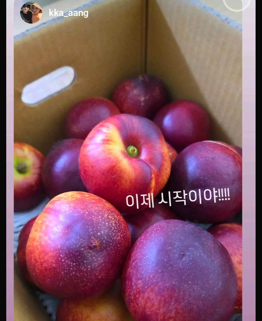 아미 반바지 8