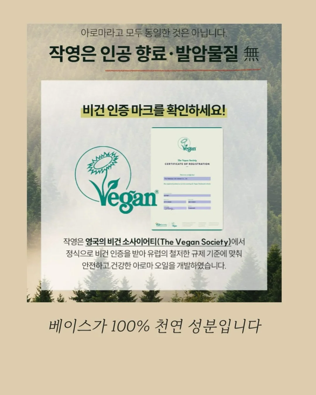 여름옷 4