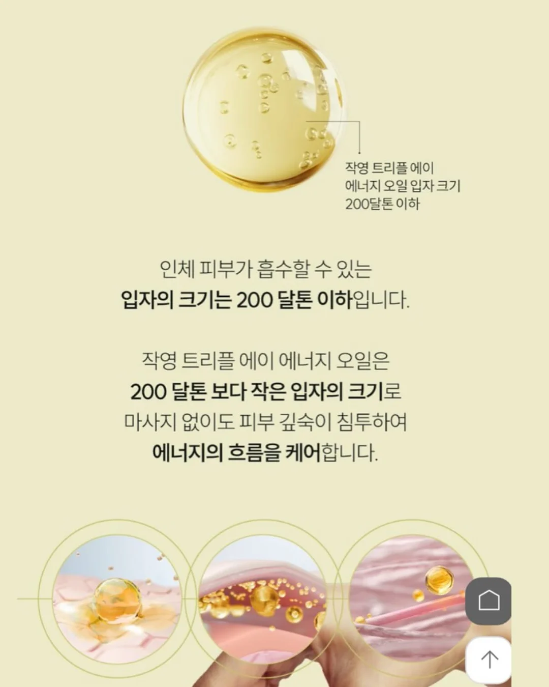 여름옷 10