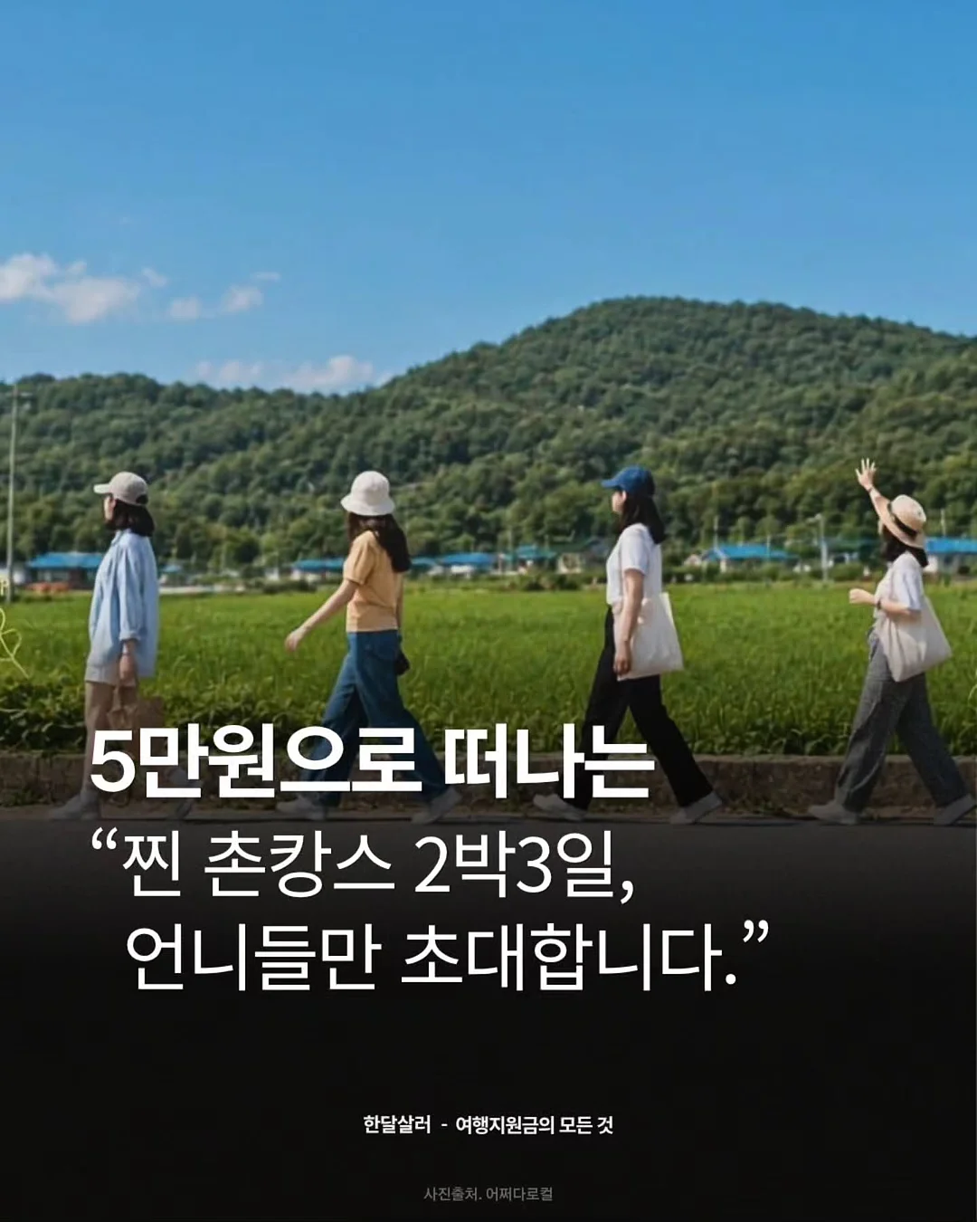 자색 타로 통밀빵 1