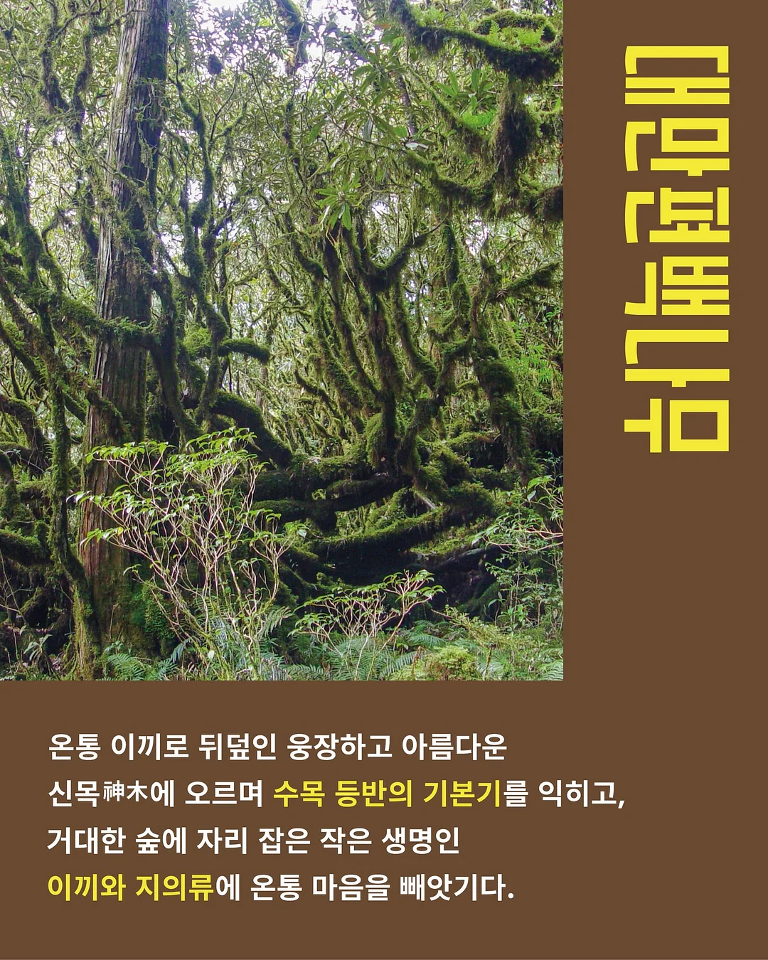 신발 방수 커버 3