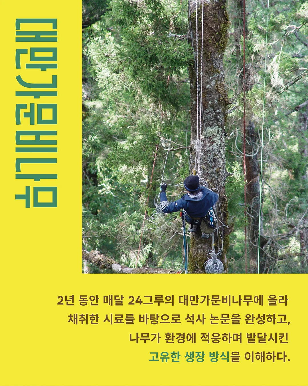 신발 방수 커버 4