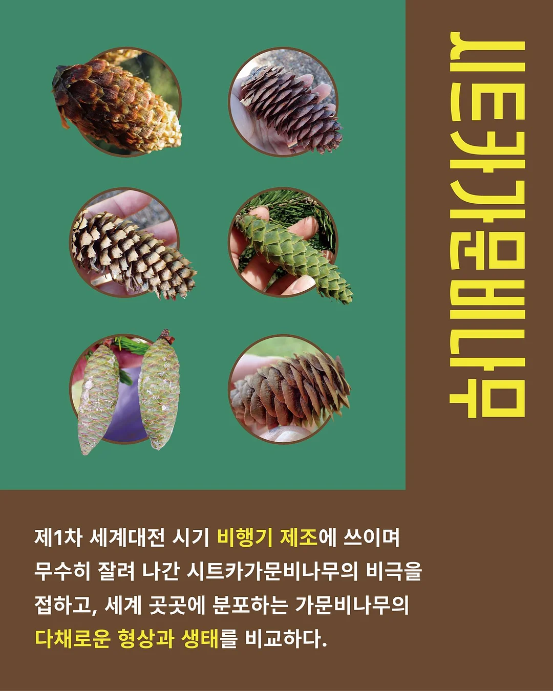 신발 방수 커버 5